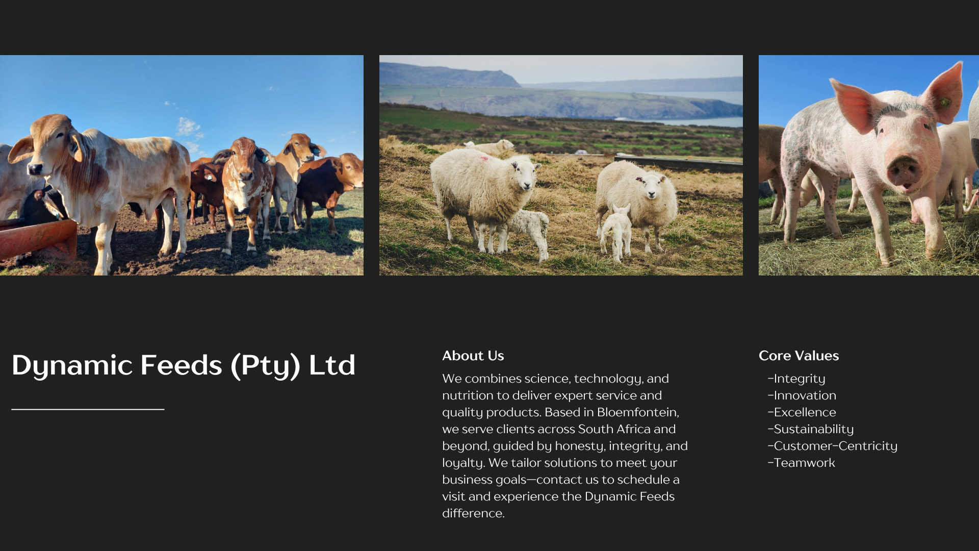Dynamic Feeds Dynamic Feeds