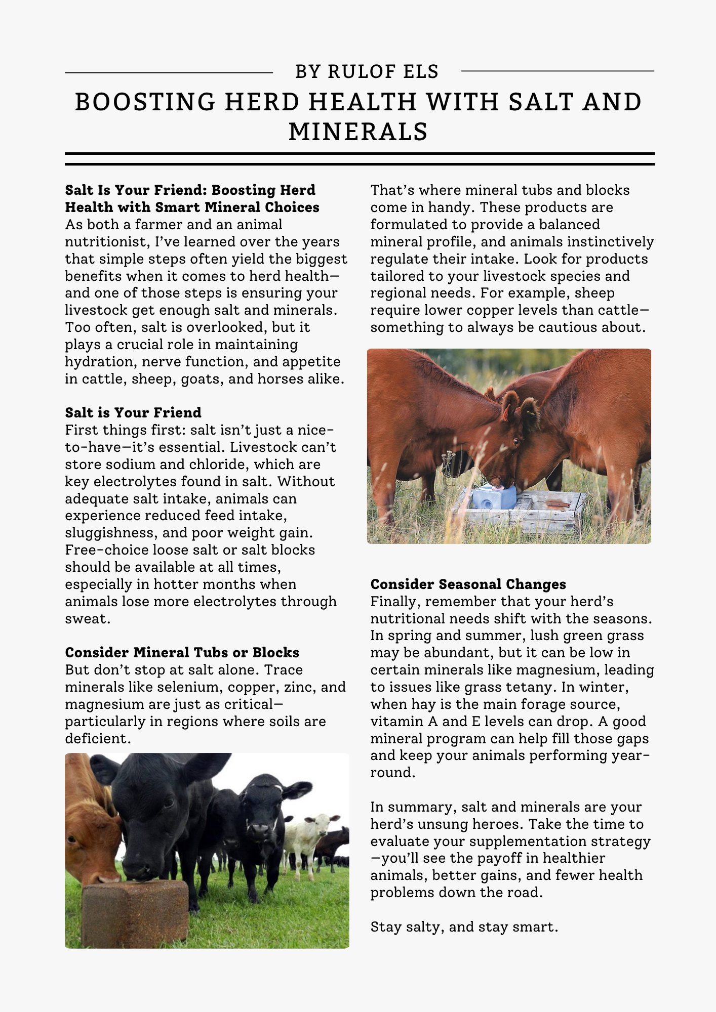 Black and Cream Modern Fashion Article Page Document Black and Cream Modern Fashion Article Page Document